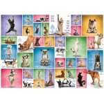 Puzzle Eurographics Yoga Dogs 1000 piese