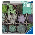 Puzzle plante suculente 300 piese