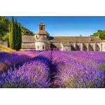 Puzzle Castorland Lavender Field in Provencek 1000 piese