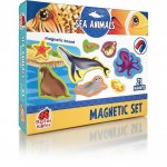 Set magnetic Animale marine cu plansa magnetica inclusa 21 piese Roter Kafer