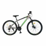 Bicicleta MTB-HT Acura Shimano Tourney 29 inch Carpat CSC29/99H gri/negru/verde