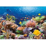 Puzzle Castorland Coral Reef Fishes 1000 piese