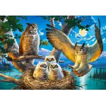 Puzzle Castorland Owl Family 500 piese