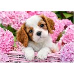 Puzzle Castorland Pup In Pink Flowers 500 piese