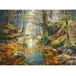 Puzzle Castorland  Reminiscence of the Autumn Forest 2000 piese