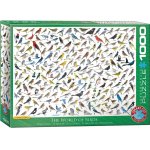 Puzzle Eurographics  The World of Birds 1000 piese