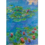 Puzzle 1000 piese claude monet water lilies 1917