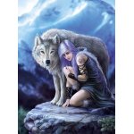 Puzzle Clementoni anne stokes protector 1000 piese