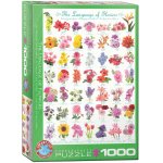 Puzzle Eurographics the language of flowers 1000 piese