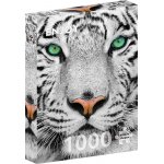 Puzzle 1000 piese White Siberian Tiger