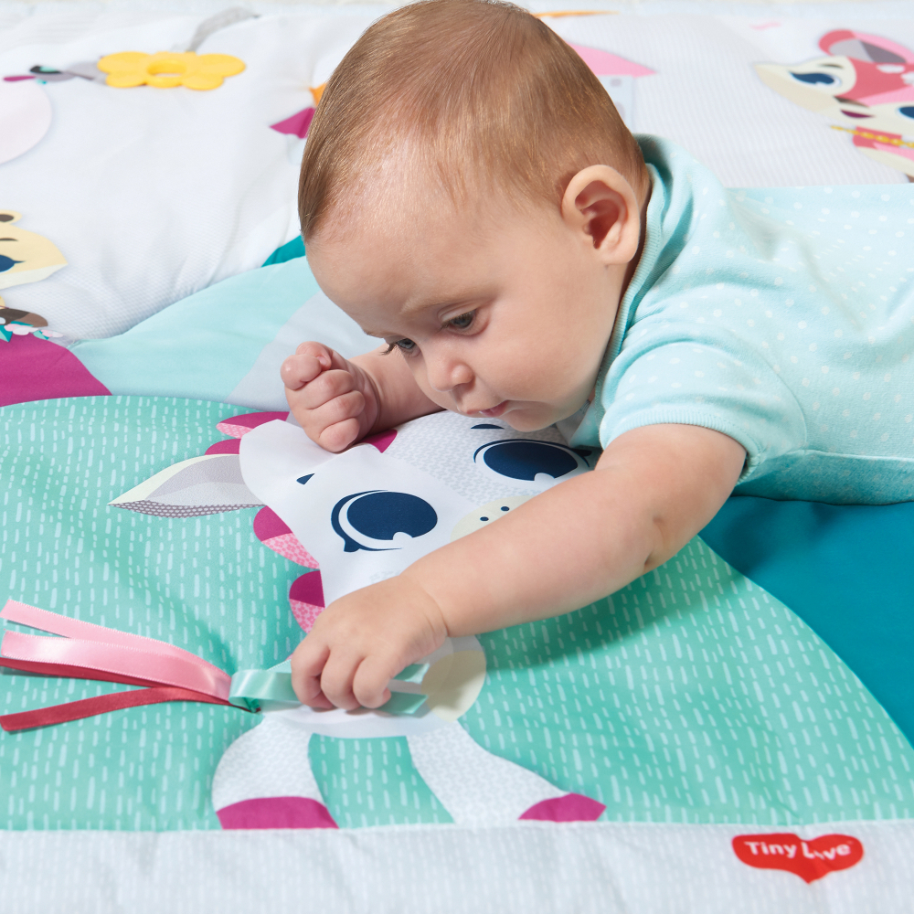 Centru de joaca cu salteluta XL Tiny Love Gymini Princess Tales 0 luni+ multicolor Activitati