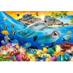 Puzzle 1000 piese Dolphins in the Tropics