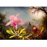 Puzzle 1000 piese Martin Johnson Heade: Cattleya Orchid and Three Hummingbirds 1871
