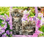 Puzzle Castorland Kittens In Summer Garden 1000 piese