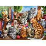Puzzle Castorland House Of Cats 2000 piese