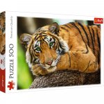 Puzzle 500 portretul tigrului Trefl
