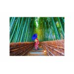 Puzzle 1000 piese Enjoy Asian Woman in Bamboo Forest (Enjoy-1293)