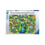 Puzzle 2000 piese Land of the Peacock