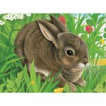 Puzzle in cutie animale 12 piese