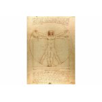 Puzzle 1000 piese Enjoy Leonardo Da Vinci The Vitruvian Man