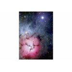 Puzzle 1000 piese Enjoy The Trifid Nebula