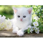 Puzzle Ravensburger White kitten 1500 piese