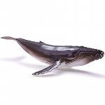 Figurina Balena cu cocoasa