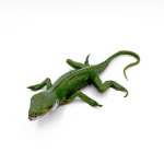 Figurina Iguana mica 21 cm