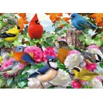 Puzzle Ravensburger Garden Birds 500 piese