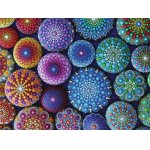 Puzzle Ravensburger Colorful Sea Urchins 1500 piese