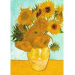 Puzzle Ravensburger Vincent Van Gogh Vaza Cu Flori 1000 piese