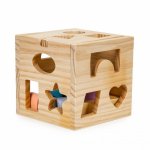 Cub educational cu 12 blocuri din lemn si sortator 2540 Ecotoys