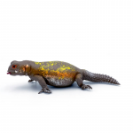 Iguana figurina 15 cm Parodi