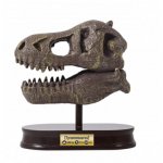 Kit de sapat Craniu T-Rex de muzeu