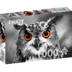 Puzzle 1000 piese Enjoy Curious Owl