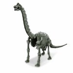 Set educativ Sapa si descopera dinozauri Brachiosaurus