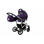 Carucior Largo 2 in 1 Violet