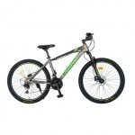 Bicicleta MTB-HT Acura 29 inch Carpat C2999H culoare gri/negru/verde