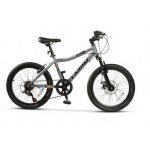 Bicicleta copii 7-10 ani Carpat Bimba C2011A Shimano rotativ 20 inch gri/negru
