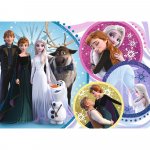 Puzzle Trefl Glitter Frozen 2 In numele iubirii 100 piese
