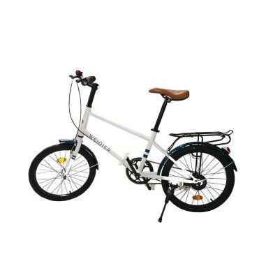 Bicicleta Pentru Copii Cu Portbagaj Cadru Metalic 20 Inch