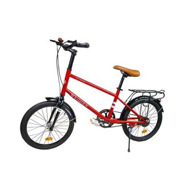 Bicicleta pentru copii cu portbagaj cadru metalic 20 inch - 1