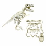 Set educativ Descopera Dinozaurul T-Rex