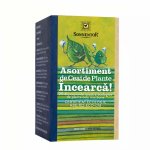 Ceai plic Sonnentor Incearca asortiment plante 20 plicuri eco