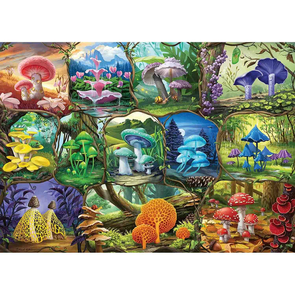 Puzzle Ravensburger Ciuperci colorate 1000 piese