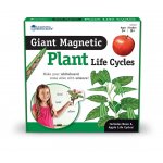 Set magnetic Ciclul vietii plantei