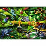 Puzzle Broscute 35 piese