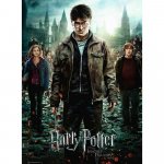 Puzzle Harry Potter si Talismanele Mortii partea 2 300 piese