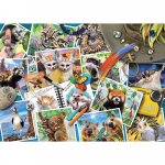 Puzzle Ravensburger Jurnalul de calatorie al animalelor 1000 piese
