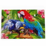Puzzle Parrots De.tail 32x47 cm 500 piese